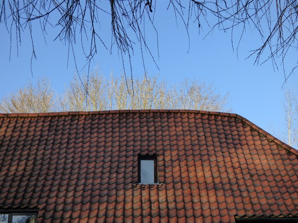 RICS Registered Surveyor