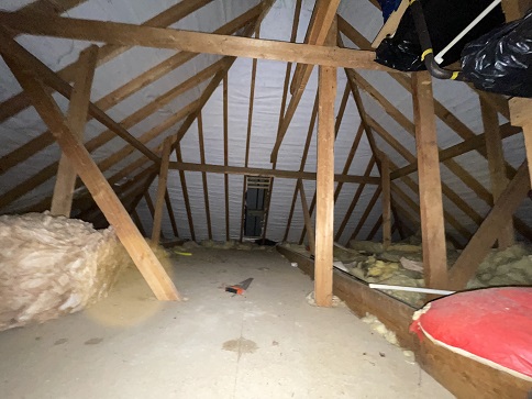 Building Survey of roof