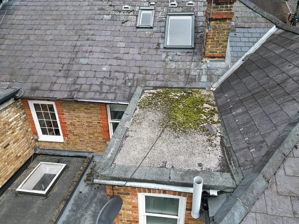 Roof Drone Survey