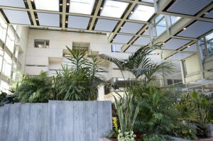Environmental issues in building surveys