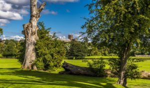 St Albans Party Wall Disputes