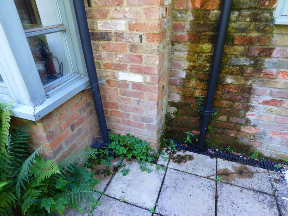 Damp from Pipe Building Survey